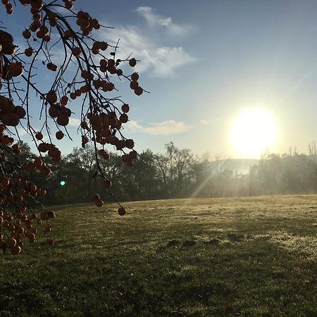 Gite Clodeguy Saint-Sylvestre-sur-Lot 外观 照片
